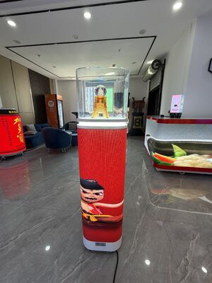 acheter Vitrine à LED à température réglée avec régulation précise du climat et éclairage énergétique adapté aux produits sensibles online manufacture